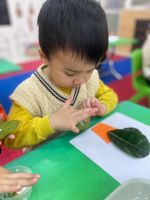 Z4184310138153 9efef449a6ca9799b21b9ab4f1d3a88a 1