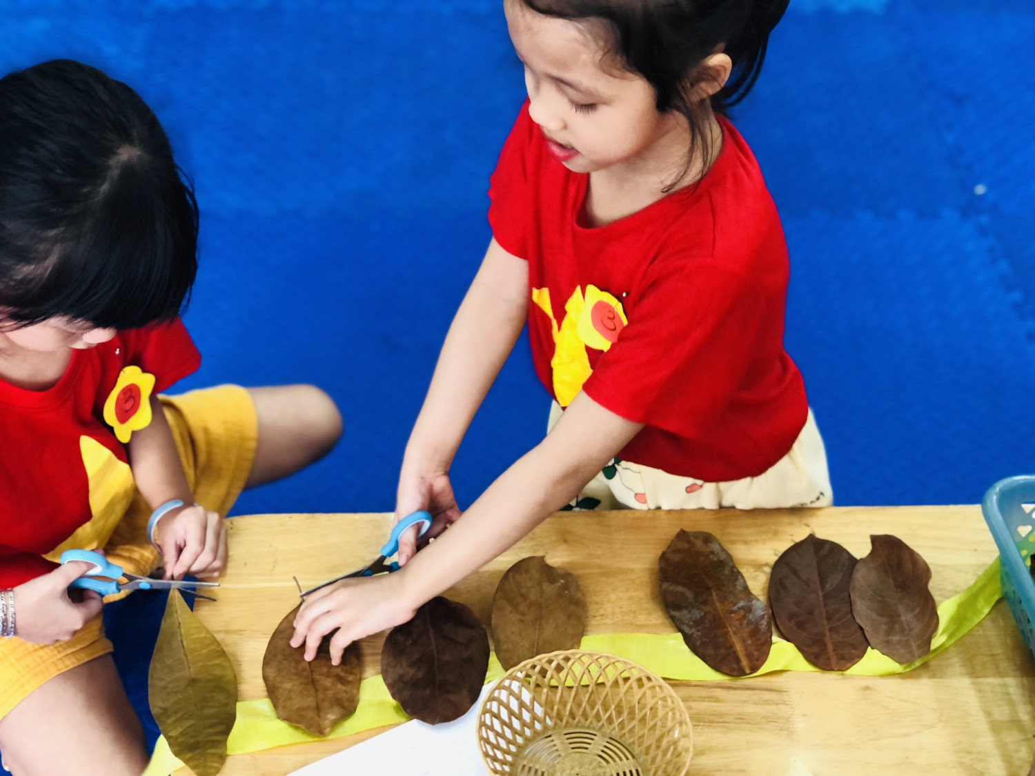 z3917056843662 8312fc8c58a5dd2ca82d165547021159